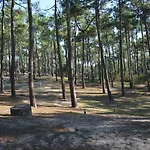 Camping Wellness Sport - La Dune Bleue