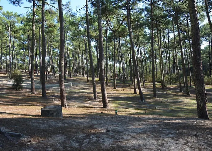 Camping Wellness Sport - La Dune Bleue